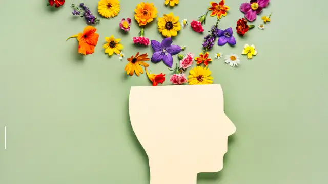 spring cleaning (website)